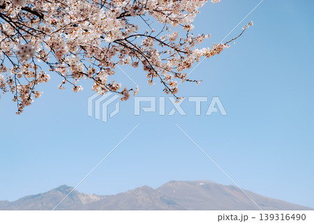 満開の桜と青空と浅間山 a-4 フィルム調 満開の桜と青空と浅間山 a-4 フィルム調 139316490