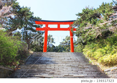 函館八幡宮 139317323