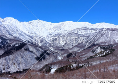 3月の白馬岩岳頂上からの北アルプス 信州の山々 冠雪の北アルプス 3月の白馬岩岳頂上からの北アルプス 信州の山々 冠雪の北アルプス 139317505