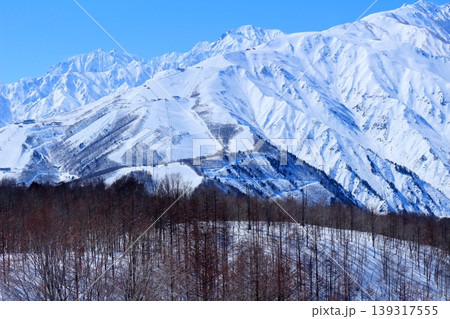 3月の白馬岩岳頂上からの北アルプス 信州の山々 冠雪の北アルプス 3月の白馬岩岳頂上からの北アルプス 信州の山々 冠雪の北アルプス 139317555