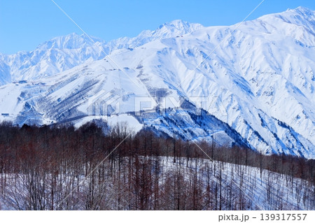 3月の白馬岩岳頂上からの北アルプス 信州の山々 冠雪の北アルプス 3月の白馬岩岳頂上からの北アルプス 信州の山々 冠雪の北アルプス 139317557