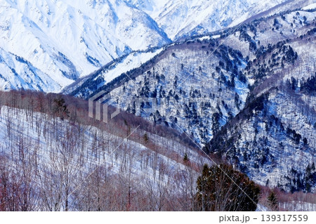 3月の白馬岩岳頂上からの北アルプス 信州の山々 冠雪の北アルプス 3月の白馬岩岳頂上からの北アルプス 信州の山々 冠雪の北アルプス 139317559