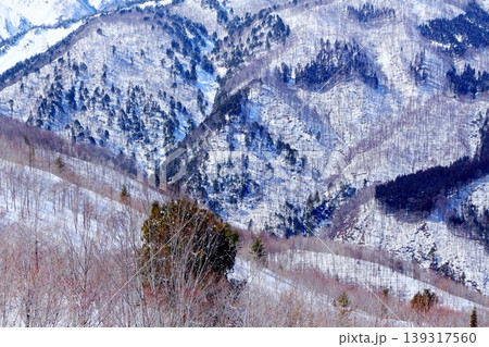 3月の白馬岩岳頂上からの北アルプス 信州の山々 冠雪の北アルプス 3月の白馬岩岳頂上からの北アルプス 信州の山々 冠雪の北アルプス 139317560