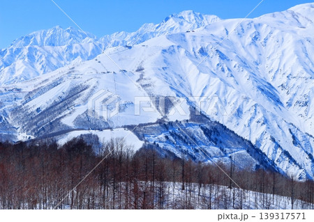 3月の白馬岩岳頂上からの北アルプス　　　信州の山々　　　冠雪の北アルプス 139317571