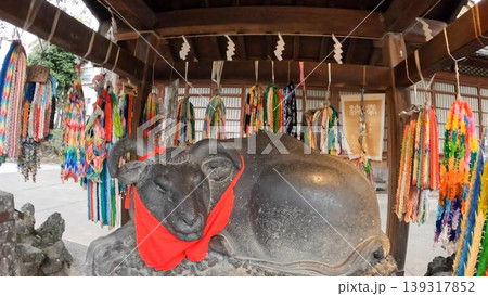 東京、牛嶋神社の撫で牛と色鮮やかな千羽鶴 東京、牛嶋神社の撫で牛と色鮮やかな千羽鶴 139317852