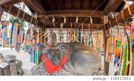 東京、牛嶋神社の撫で牛と色鮮やかな千羽鶴 東京、牛嶋神社の撫で牛と色鮮やかな千羽鶴 139317853