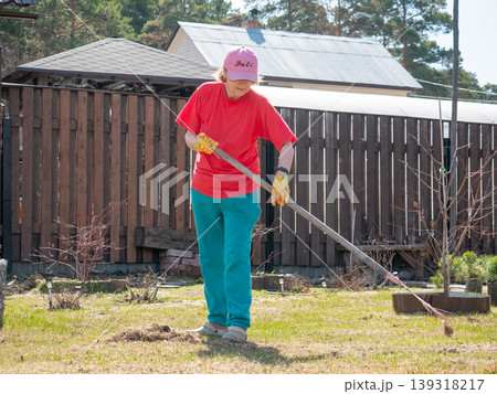 Woman gardener using rake to clean lawn in spring. Backyard housekeeping with outdoor tool. Senior female working in garden during sunny day. Horticulture and seasonal yard maintenance. 139318217