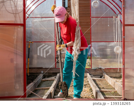 Woman gardener digging soil with shovel in greenhouse. Female farmer preparing vegetable garden beds for spring planting. Horticulture hobby work, seasonal land cultivation activity. 139318265