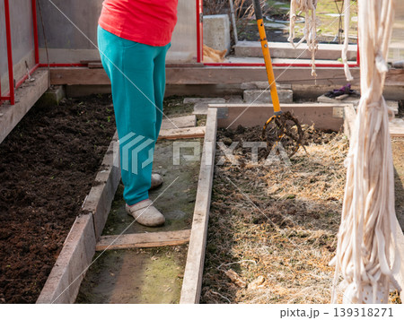 Woman gardener using manual cultivator tool in vegetable greenhouse. Person loosening soil in wooden raised garden bed. Hobby farming and seasonal spring work in glass structure. Woman gardener using manual cultivator tool in vegetable greenhouse. Person loosening soil in wooden raised garden bed. Hobby farming and seasonal spring work in glass structure. 139318271