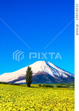 美瑛の美しい田園風景と富士山合成 美瑛の美しい田園風景と富士山合成 139318313