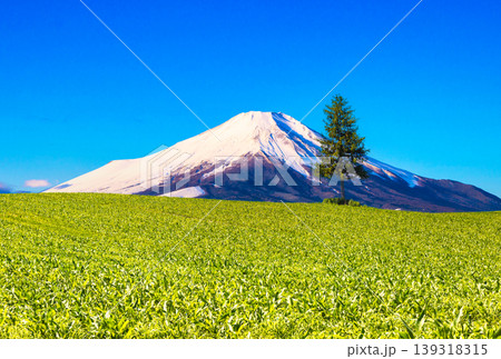 美瑛の美しい田園風景と富士山合成 美瑛の美しい田園風景と富士山合成 139318315