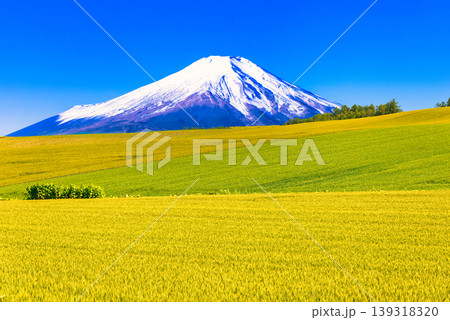 美瑛の美しい田園風景と富士山合成 美瑛の美しい田園風景と富士山合成 139318320
