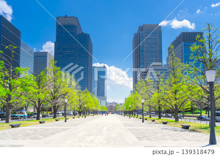 東京駅を望む行幸通り 東京駅を望む行幸通り 139318479