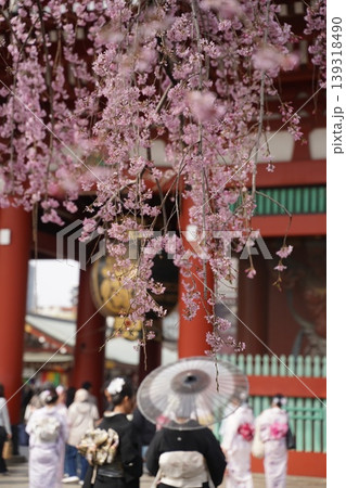 東京の桜・浅草寺 139318490