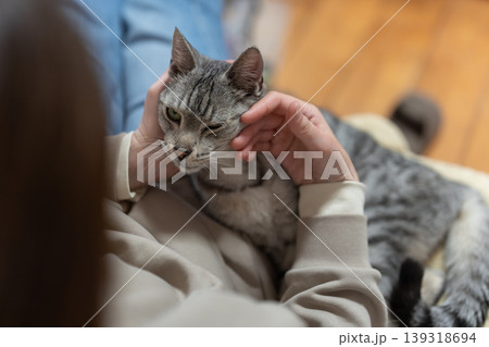 猫を撫でる飼い主 サバトラ猫 猫を撫でる飼い主 サバトラ猫 139318694