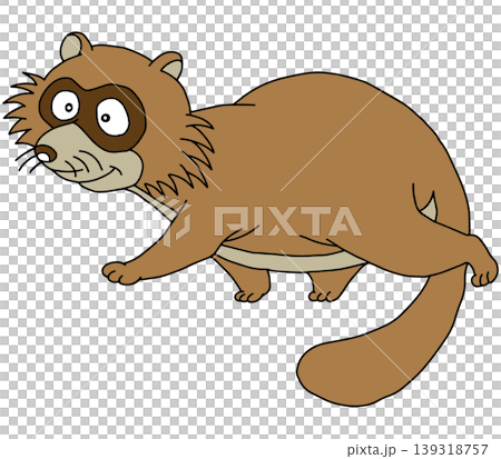 A fun animal illustration ☆ Raccoon A fun animal illustration ☆ Raccoon 139318757