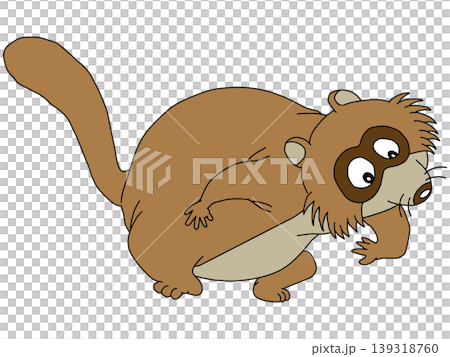 有趣的動物插畫☆浣熊 有趣的動物插畫☆浣熊 139318760
