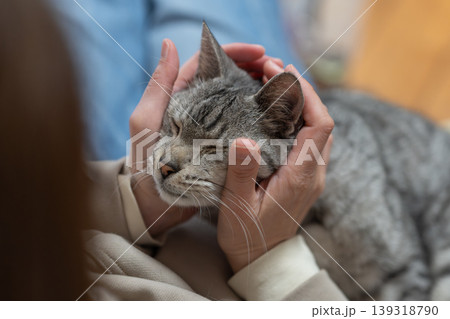 猫を撫でる飼い主 サバトラ猫 猫を撫でる飼い主 サバトラ猫 139318790