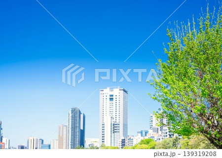 東京・市ヶ谷 青空と緑 東京・市ヶ谷 青空と緑 139319208