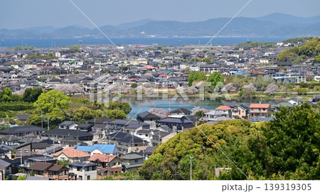 池田湖公園/Ikeda lake(長崎県大村市 桜の名所) 池田湖公園/Ikeda lake(長崎県大村市 桜の名所) 139319305
