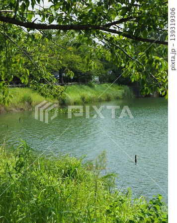 池田湖公園／Ikeda lake（長崎県大村市 桜の名所） 139319306