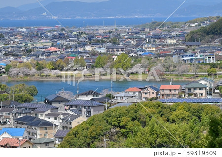 池田湖公園／Ikeda lake（長崎県大村市 桜の名所） 139319309