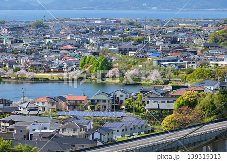池田湖公園／Ikeda lake（長崎県大村市 桜の名所） 139319313