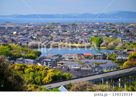 池田湖公園/Ikeda lake(長崎県大村市 桜の名所) 池田湖公園/Ikeda lake(長崎県大村市 桜の名所) 139319314