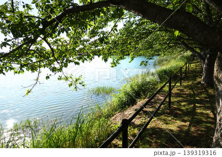 池田湖公園/Ikeda lake(長崎県大村市 桜の名所) 池田湖公園/Ikeda lake(長崎県大村市 桜の名所) 139319316