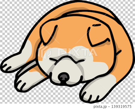 秋田犬,紅色外套,狗的插圖 秋田犬,紅色外套,狗的插圖 139319575