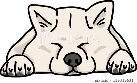 秋田犬　カラー　白毛　犬のイラスト 139319631