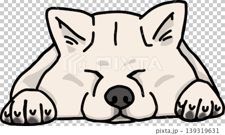 秋田犬，顏色：白色，狗的插圖 139319631