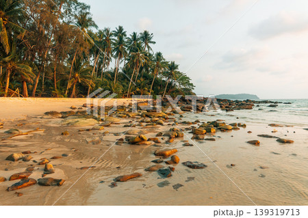 Atmospheric landscape shot with a moody and dramatic natural setting. Atmospheric landscape shot with a moody and dramatic natural setting. 139319713