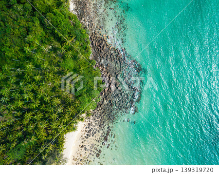 Bird's eye view of a rocky tropical shore with dense green forest and clear sea water Bird's eye view of a rocky tropical shore with dense green forest and clear sea water 139319720