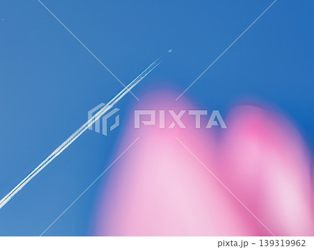 青空に浮かぶピンクのハスと飛行機雲 139319962