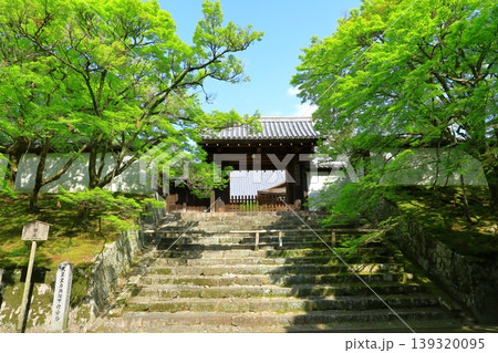 京都 曼殊院門跡 新緑の勅使門 京都 曼殊院門跡 新緑の勅使門 139320095