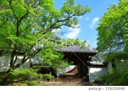 京都　曼殊院門跡　新緑の勅使門 139320098
