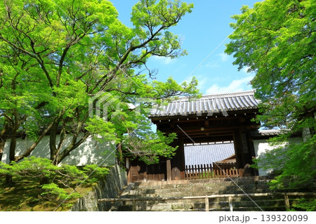 京都　曼殊院門跡　新緑の勅使門 139320099