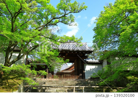 京都　曼殊院門跡　新緑の勅使門 139320100