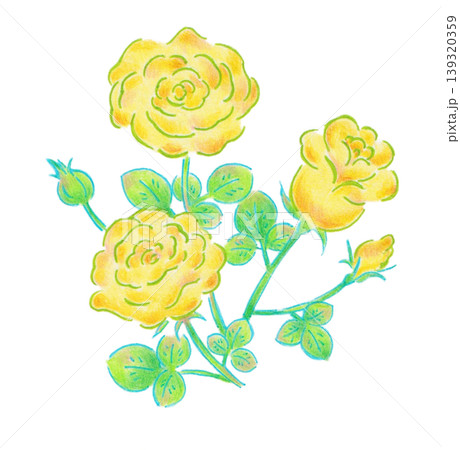 黄色いバラの花のイラスト 黄色いバラの花のイラスト 139320359