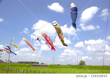 鯉のぼり 139320610