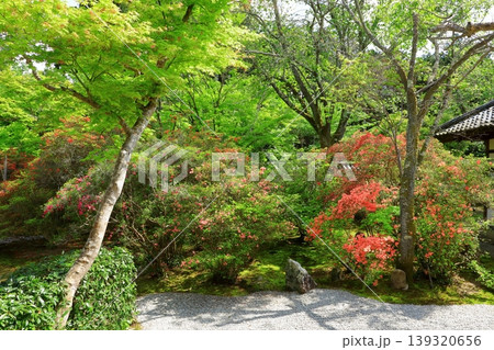京都　曼殊院門跡　枯山水庭園 139320656