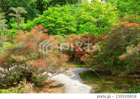 京都　曼殊院門跡　枯山水庭園 139320658