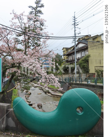 島根県松江市の玉造温泉の玉湯川沿いの桜と橋につけられた勾玉 139321506