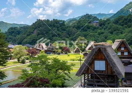 Traditional rice fields and gassho houses in Shirakawa-go village, Japan 139321591
