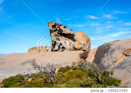 Remarkable Rocks in Flinders Chase National Park, Kangaroo Island, Australia 139321595
