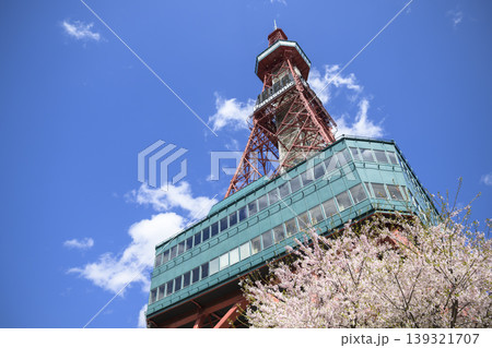 さっぽろテレビ塔と満開の桜を見上げる 139321707