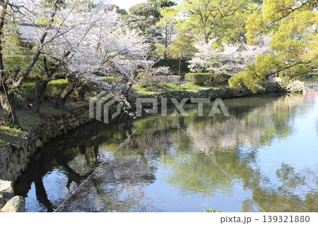 水堀に映る桜 139321880