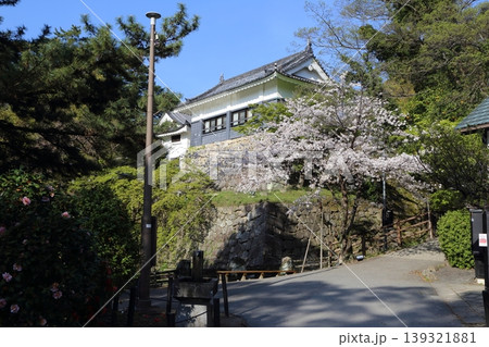 龍城神社の裏に咲く桜 龍城神社の裏に咲く桜 139321881