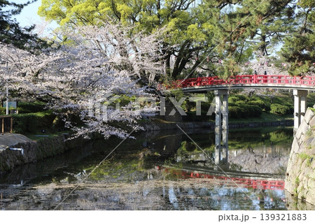 水堀にかかる新橋と桜 139321883